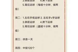 职业球员的篮球专项训练日常安排:打造冠军之路